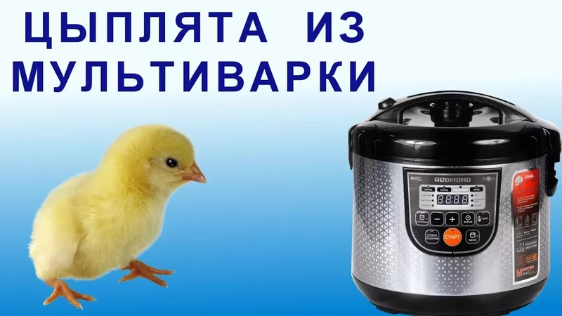 Что появится из яиц в мультиварке? Уникальный эксперимент. REDMOND RMC-M222S