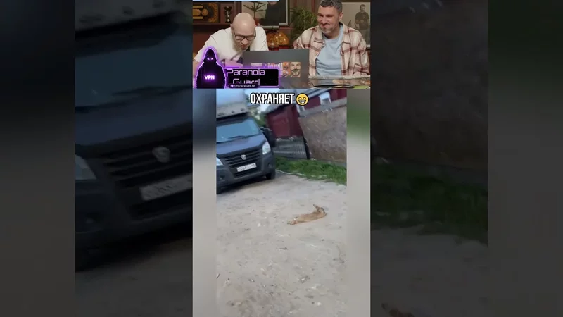 Охраняет