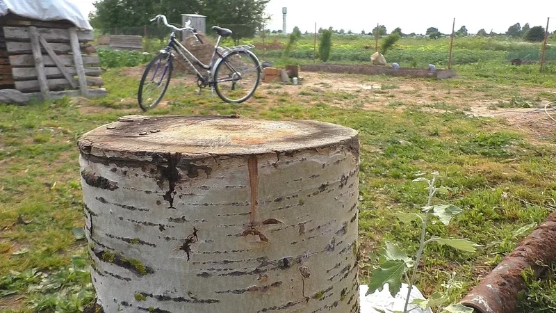 Новый птичник, индюки и огород