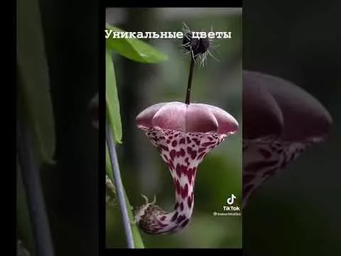 13 июня 2021 г.