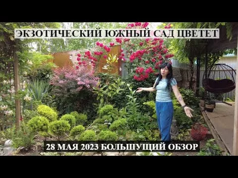 Большущий обзор цветущих экзотов и не только в южном саду!