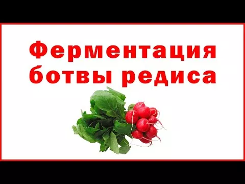 Ферментация ботвы редиса - Fermentation of radish tops