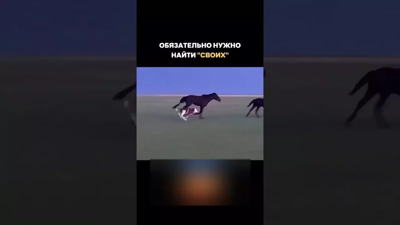 Не важно, кем ты родился, важно, кем ты себя считаешь! Верь в себя!