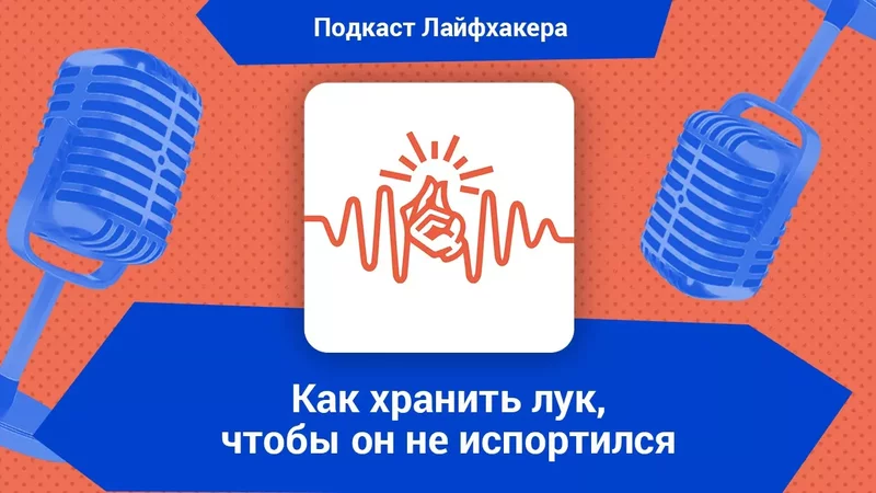 Как хранить лук, чтобы он не испортился
