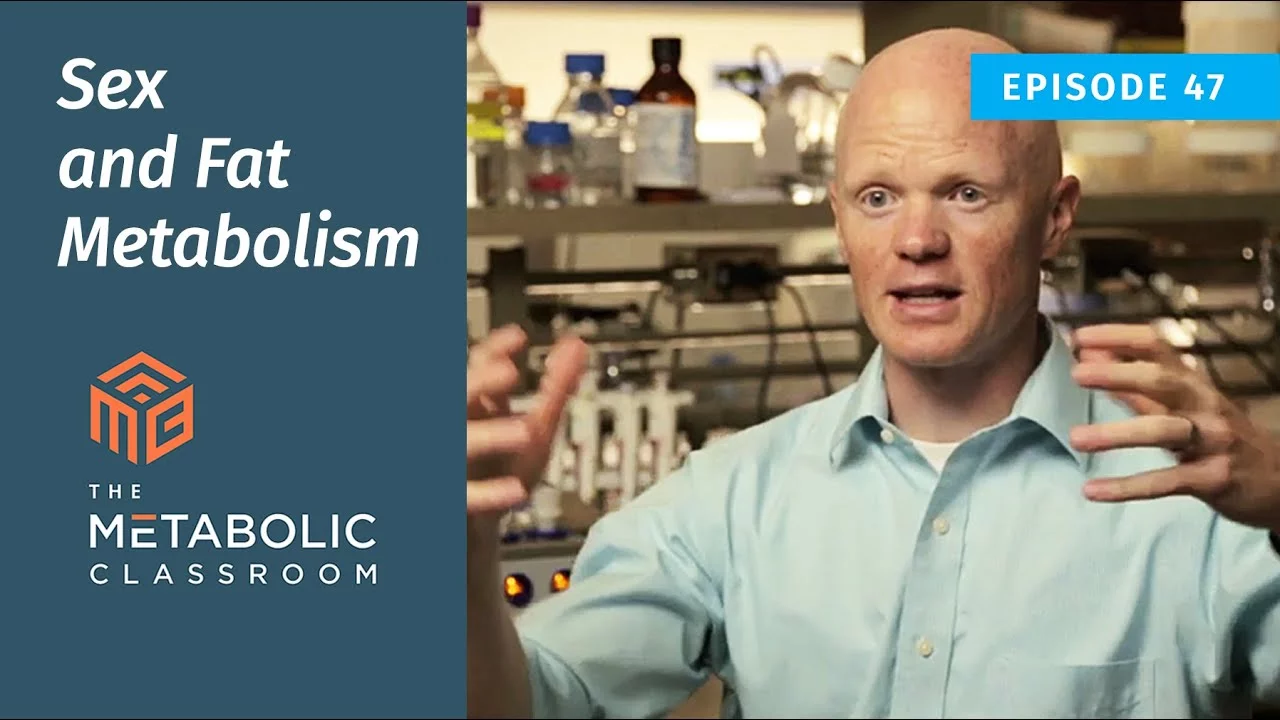 47: The Skinny on Fat - Sex and Fat М⃰bolism with Dr. Ben Bikman
