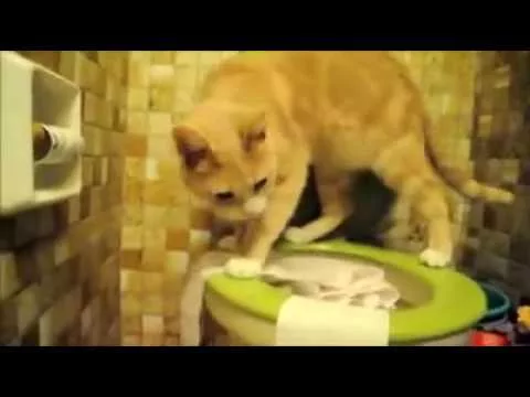 Эти забавные животные - 2609037