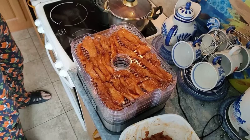 Джерки - мясные чипсы из куриной грудки. Обзор сушилки для овощей и фруктов Kitfort KT-1903