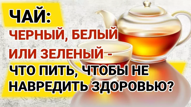 Чай: чёрный, белый или зеленый – какой выбрать и сколько пить, чтобы не нанести вреда здоровью?