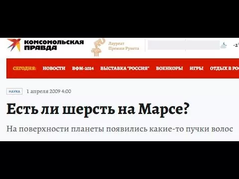 Всё о шерсти.