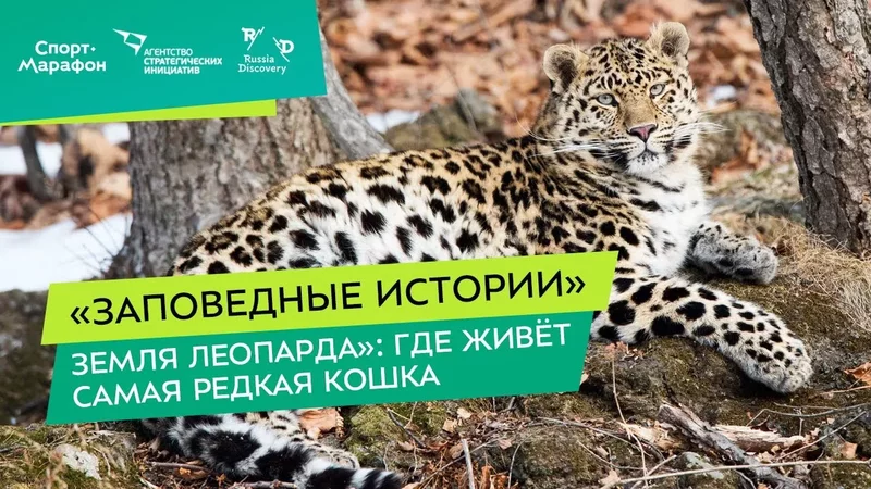 Интересные лекции про путешествия - 3917259
