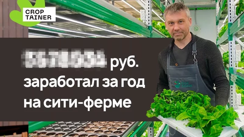 Рассказываю на реальных цифрах сколько стоит моя вертикальная ферма и сколько денег она приносит
