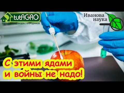 САМЫЕ ОПАСНЫЕ ЯДЫ на Wildberries и Ozon. Легальные и нелегальные убийцы. Нашел самые страшные.