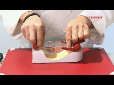 Leifheit PefectRoll for fresh vegetables, sushi, and more!