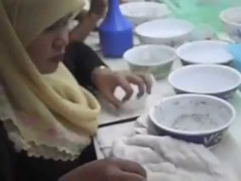 Edible Bird Nest Cleaning Process in Kuantan