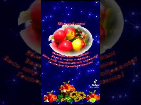 19 августа 2021 г.