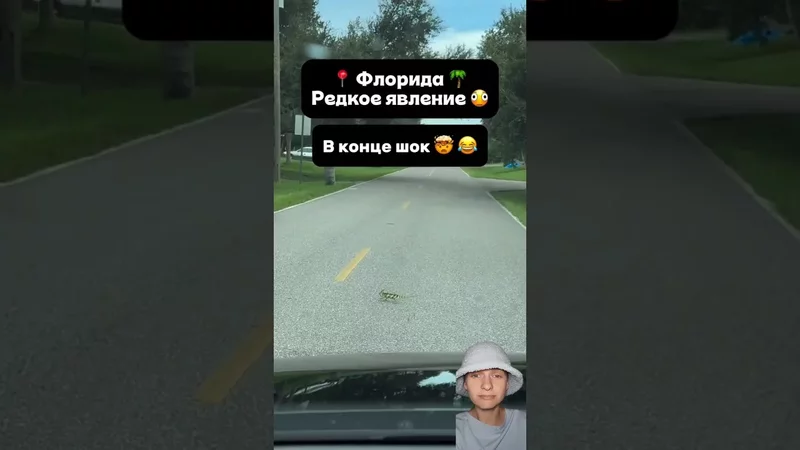 ХАМЕЛЕОН ВСЕХ ПЕРЕИГРАЛ 