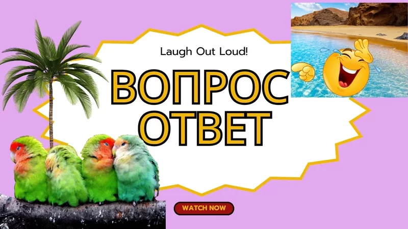 Вопрос - ответ с Канар на весь мир. Задай свой животрепещущий вопрос!