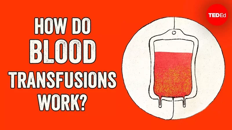 How do blood transfusions work? - Bill Schutt