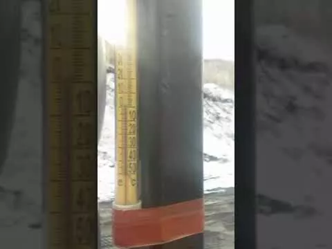 4 октября 2021 г.