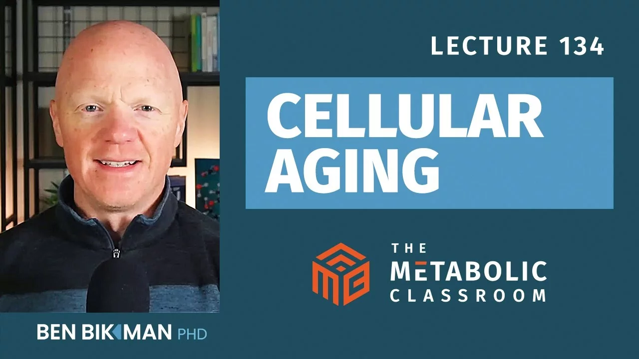 134: Why Your Cells Age (And What You Can Do About It) with Dr. Ben Bikman