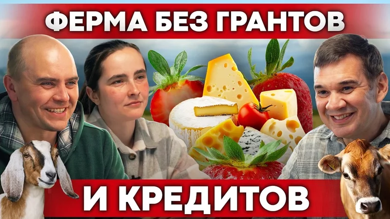Семейная ферма с нуля: клубника, сыроварня и агротуризм  Своя еда