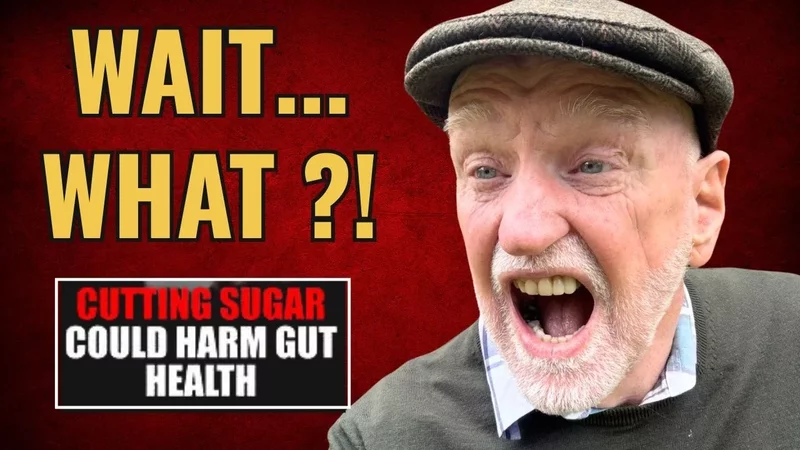The Mouse Study About Sugar  Breaking Down the Headlines