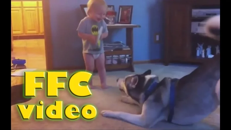 Cute Kids and Animals