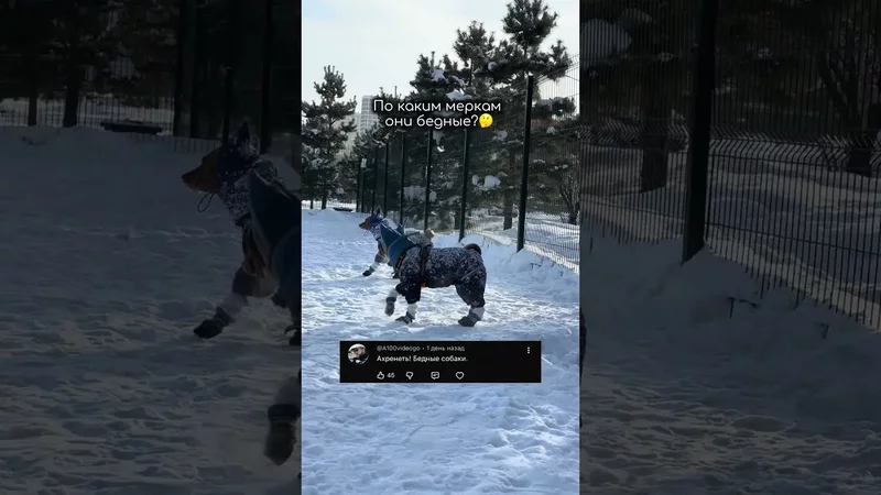 По каким критериям оценивают?