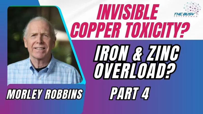 Your Blood Tests Are Lying About Iron, Zinc & Copper Levels - Morley Robbins Part 4