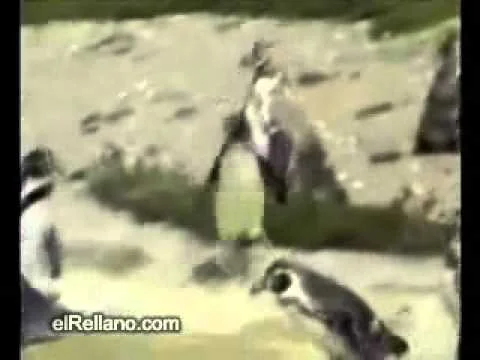 с работы. на работу