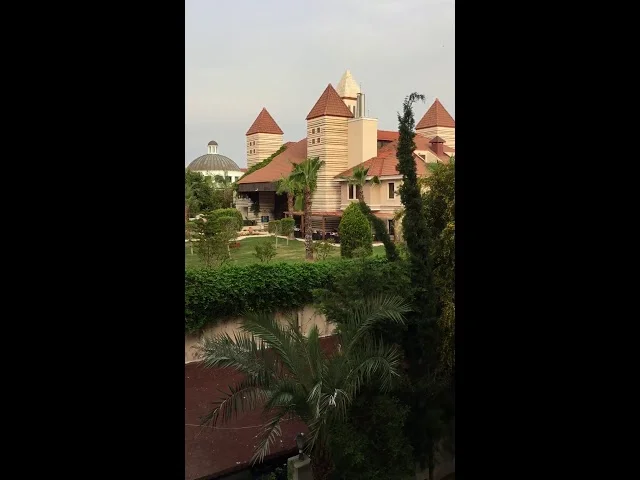 Вид из окна