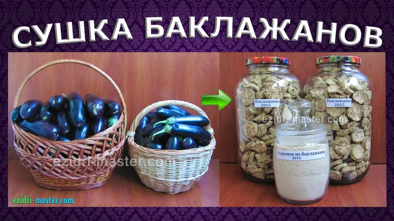 Сушка баклажанов – 15 кг. Порошок из баклажанов.