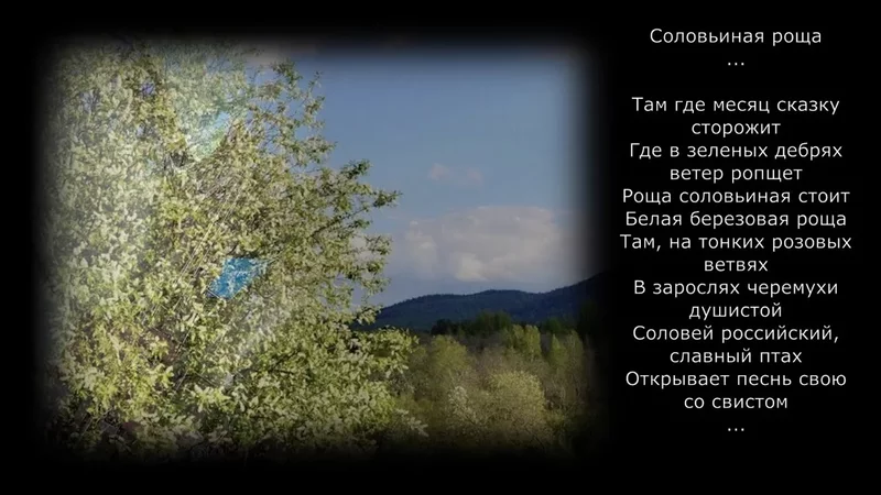 Соловьиная роща. Саксофон. Инструментальная.