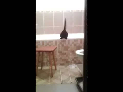 Жизнь черного Самурая - 2665085