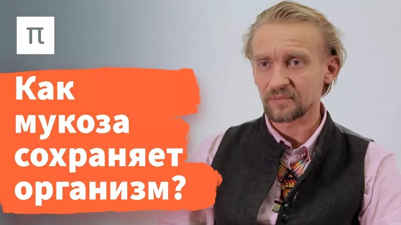 Микробы кишечника и здоровье — Дмитрий Алексеев / ПостНаука