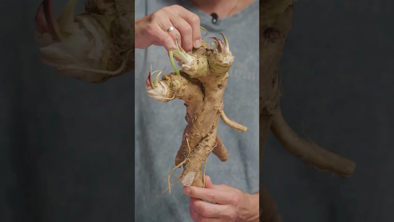 Почувствуй СИЛУ ЗЕМЛИ!