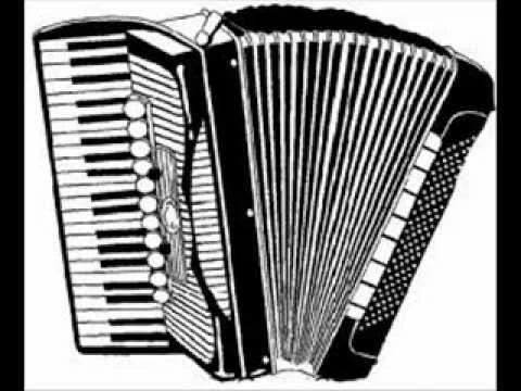 Fisarmonica allegra Polka