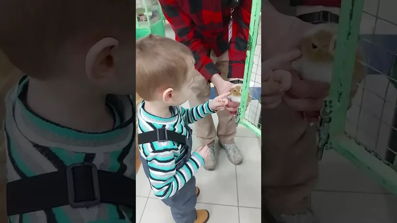 джуманджи