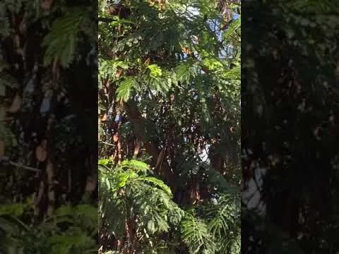 9 декабря 2018 г.