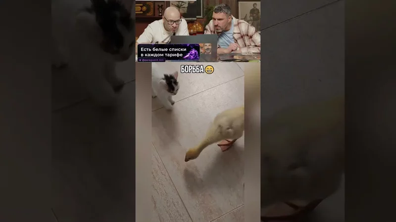 Борьба