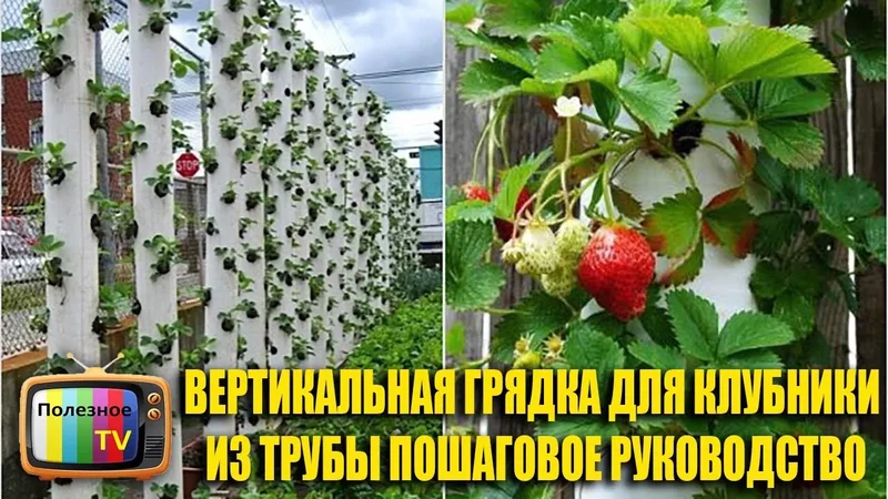 ВЕРТИКАЛЬНАЯ ГРЯДКА ДЛЯ КЛУБНИКИ ИЗ ТРУБЫ ПОШАГОВОЕ РУКОВОДСТВО