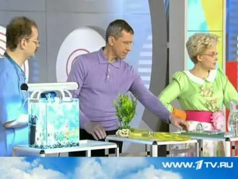 Жить здорово с Малышевой от 6 июня 2011 Опасности аквариума