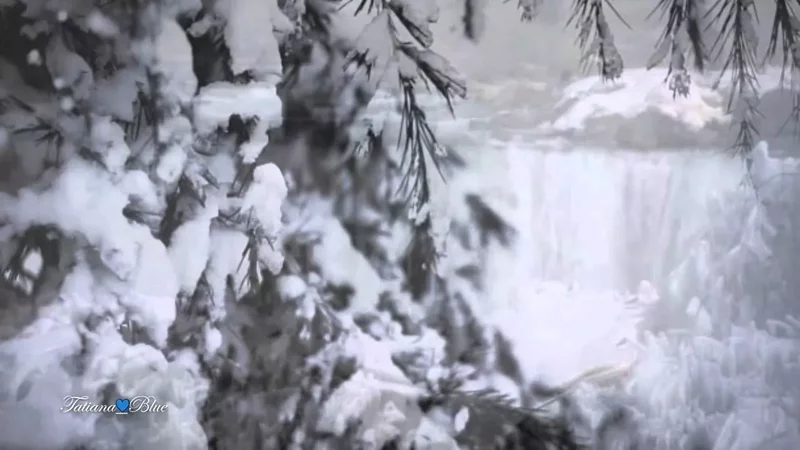  ℝ - White Arrows @TatianaBlue2