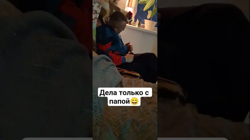 дела-отлично #dog #собака #jackrussel #сонечка