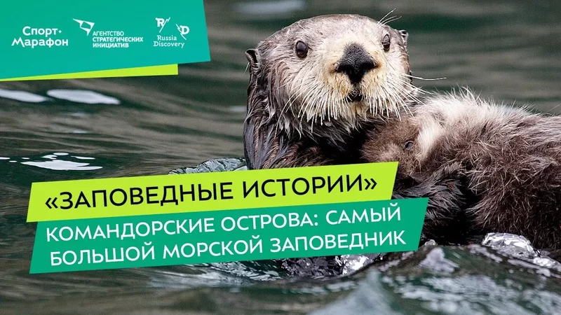 Интересные лекции про путешествия - 3914554