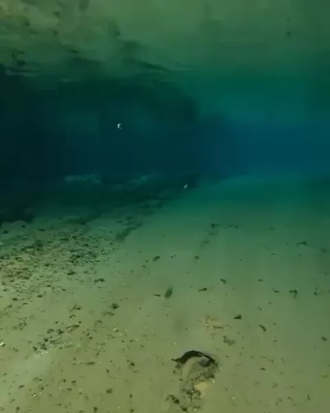 rdt