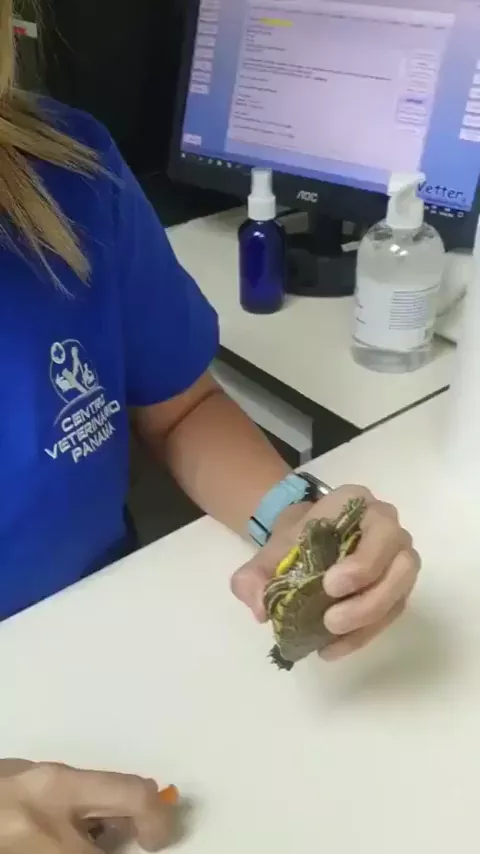 rdt