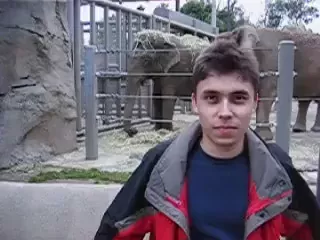 rdt