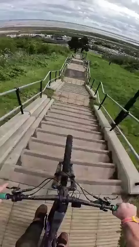 rdt