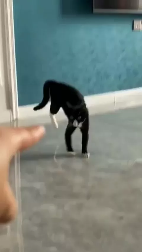 rdt